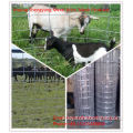 galvanized weld farm fence (Made in China)